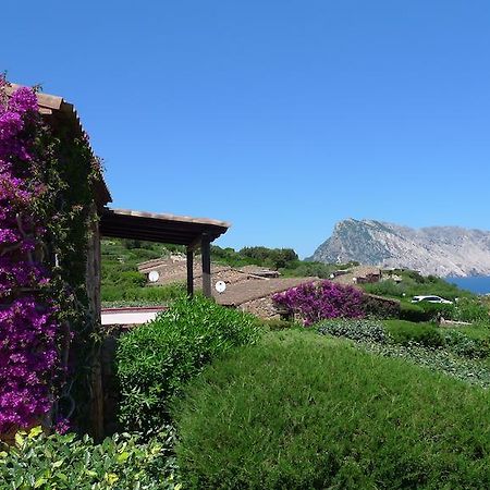 Casa Molara Villa Сан Теодоро Стая снимка
