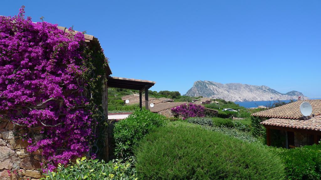Casa Molara Villa Сан Теодоро Стая снимка